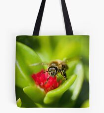 Off for some more Tote Bag