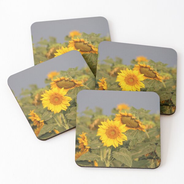 Item preview, Sunflowers of Keenesburg designed and sold by Sandy Shiner-Swanson.