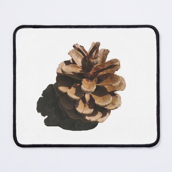 Item preview, Pine 1 designed and sold by Dariusz Siński.