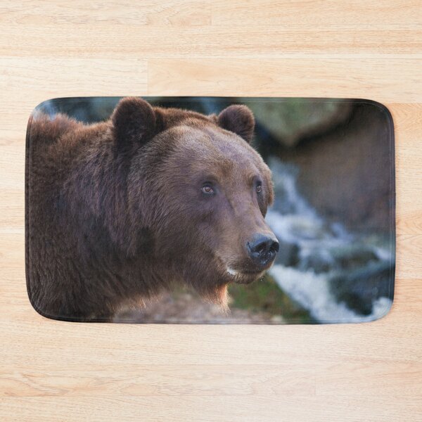 Item preview, Nature's Beauty: Brown Bear Face designed and sold by rawshutterbug.