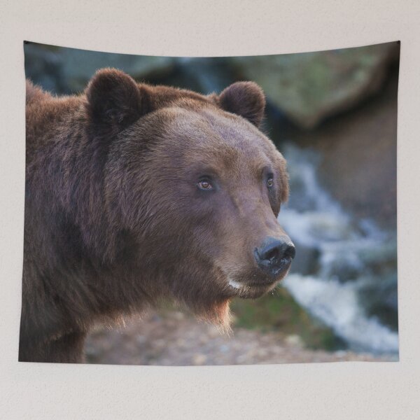 Item preview, Nature's Beauty: Brown Bear Face designed and sold by rawshutterbug.