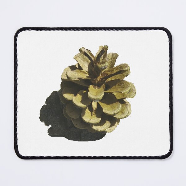 Item preview, Pine 6 designed and sold by Dariusz Siński.