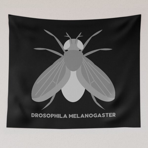 Item preview, drosophila melanogaster designed and sold by mag-graphic.