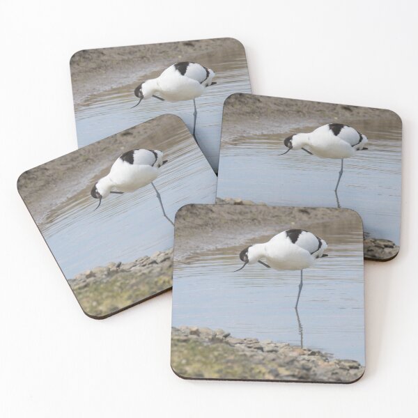 Item preview, Avocet designed and sold by LaurenTucker.