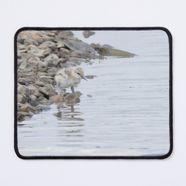 Item preview, Avocet designed and sold by LaurenTucker.