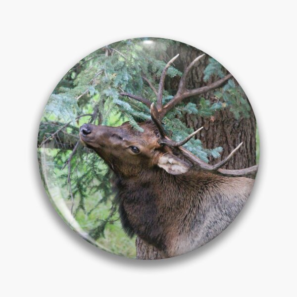 Item preview, Marking His Territory designed and sold by Sandy Shiner-Swanson.