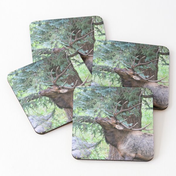 Item preview, Marking His Territory designed and sold by Sandy Shiner-Swanson.