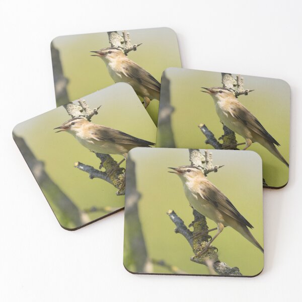 Item preview, Sedge Warbler designed and sold by LaurenTucker.