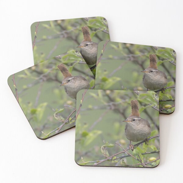Item preview, Wren designed and sold by LaurenTucker.