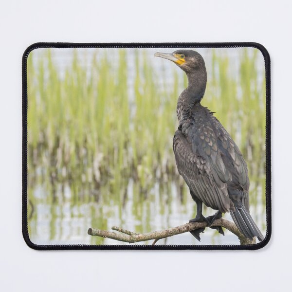 Item preview, Cormorant designed and sold by LaurenTucker.