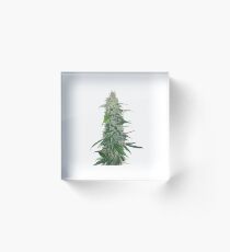 Cannabis Acrylic Block
