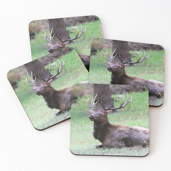 Item preview, Resting in the Rain designed and sold by Sandy Shiner-Swanson.