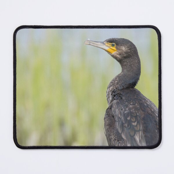 Item preview, Cormorant designed and sold by LaurenTucker.