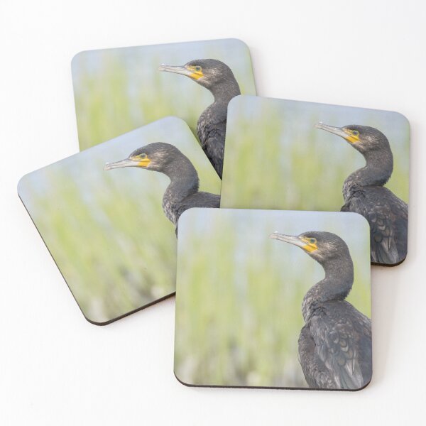 Item preview, Cormorant designed and sold by LaurenTucker.