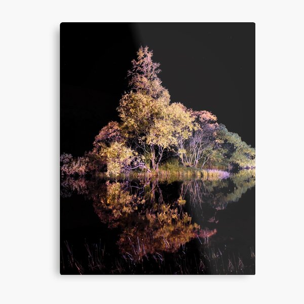 Item preview, Illuminated Trees. designed and sold by Waitesy.