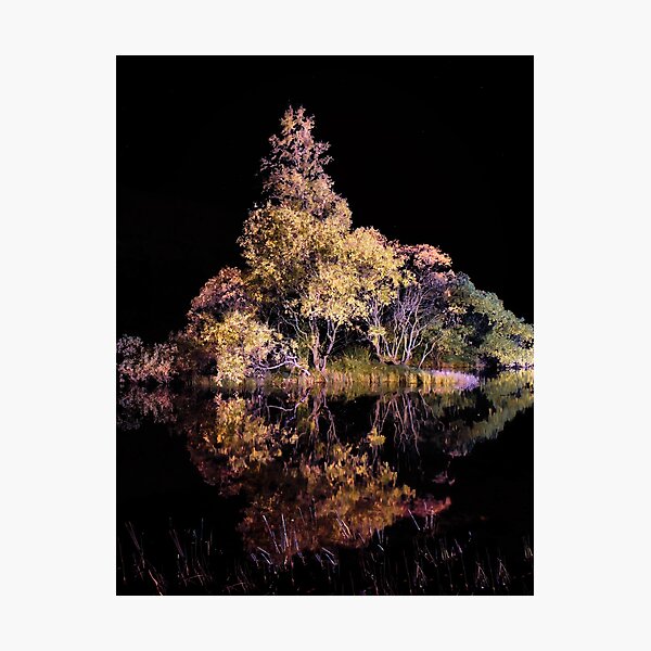 Photographic Print