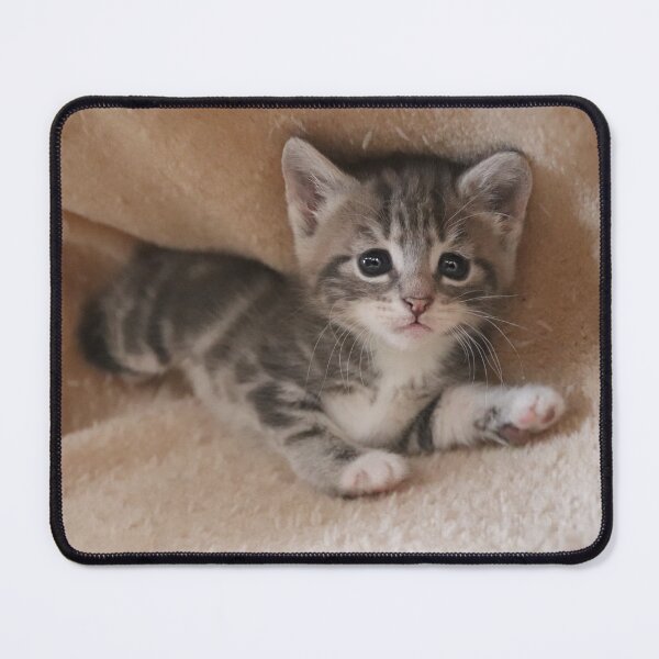 Item preview, The Tiny Tabby designed and sold by Ladymoose.