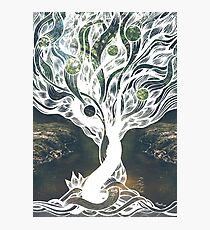 Lacuna Tree II Photographic Print