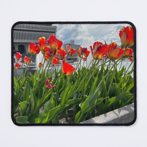 Item preview, Tulips and Clouds  designed and sold by Stephanie Fay.