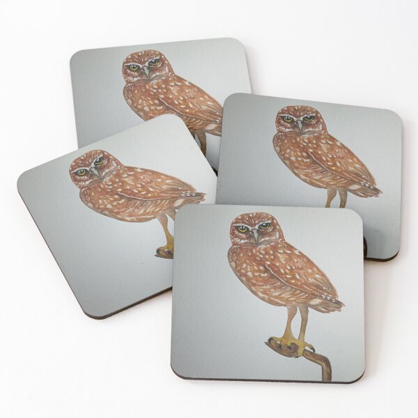 Item preview, Coruja-Buraqueira designed and sold by CanindeStore.