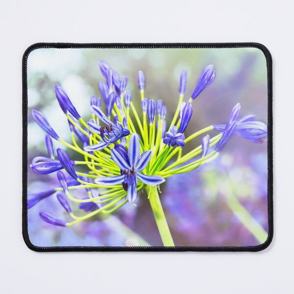 Item preview, Agapanthus Bokeh Delight designed and sold by Kay Brewer.