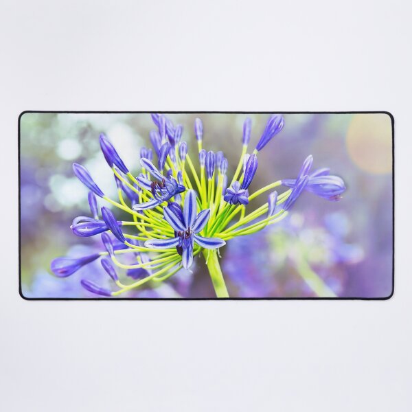 Item preview, Agapanthus Bokeh Delight designed and sold by Kay Brewer.