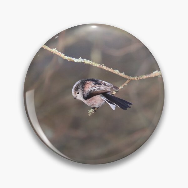 Item preview, Long tailed tit designed and sold by GreyFeatherPhot.