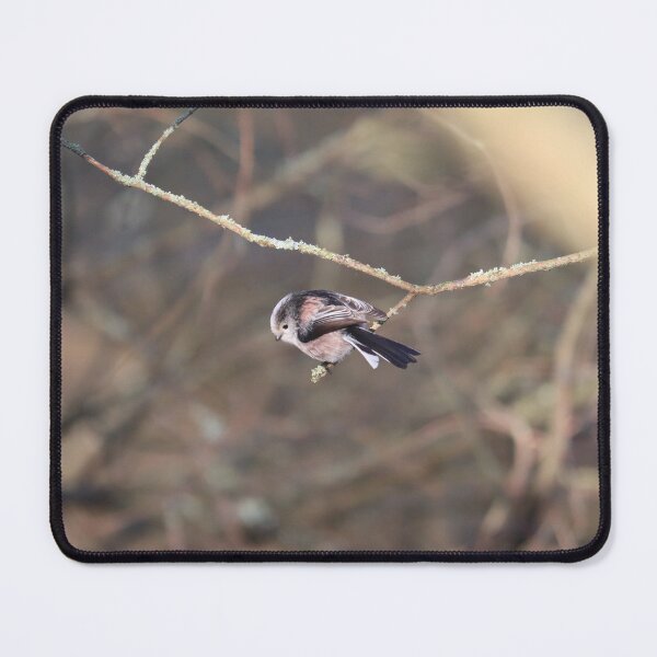 Item preview, Long tailed tit designed and sold by GreyFeatherPhot.