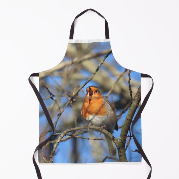 Item preview, Robin song designed and sold by GreyFeatherPhot.