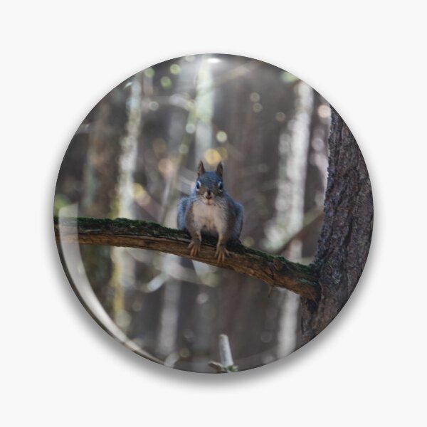 Item preview, Angry Squirrel designed and sold by Photosbykylew.