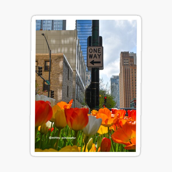 ONE WAY Tulips Sticker