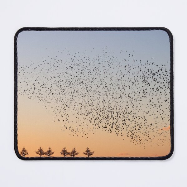 Item preview, Golden hour flock designed and sold by GreyFeatherPhot.