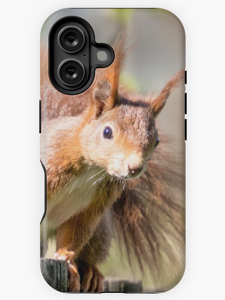 Thumbnail 1 von 4, iPhone-Hülle, Wildtierfreund Eichhörnchen designt und verkauft von Igelchen.