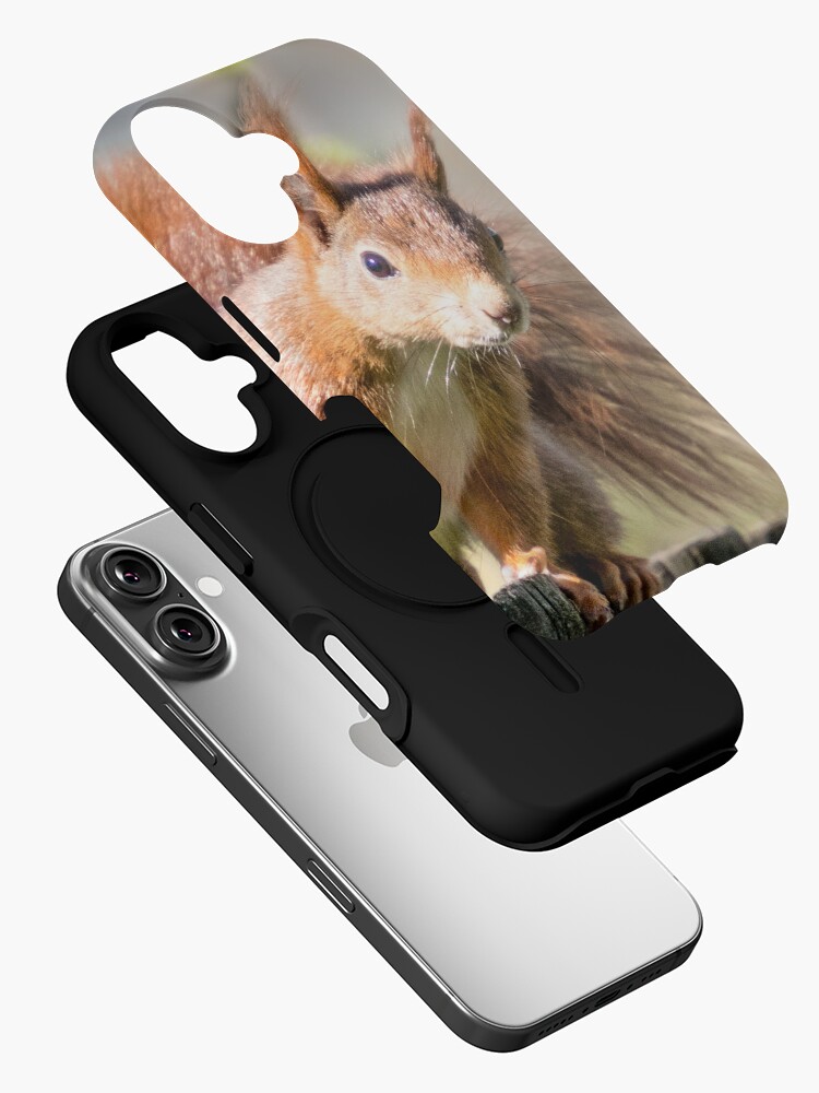 Thumbnail 2 von 4, iPhone-Hülle, Wildtierfreund Eichhörnchen designt und verkauft von Igelchen.