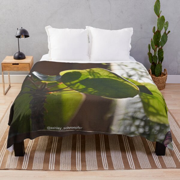 Item preview, Pilea Plant Basking in the Late Afternoon Sun designed and sold by Ashley Schroepfer.
