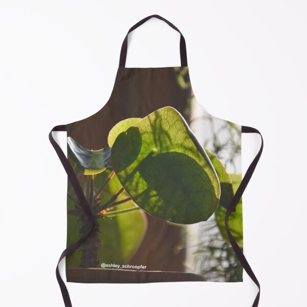 Item preview, Pilea Plant Basking in the Late Afternoon Sun designed and sold by Ashley Schroepfer.
