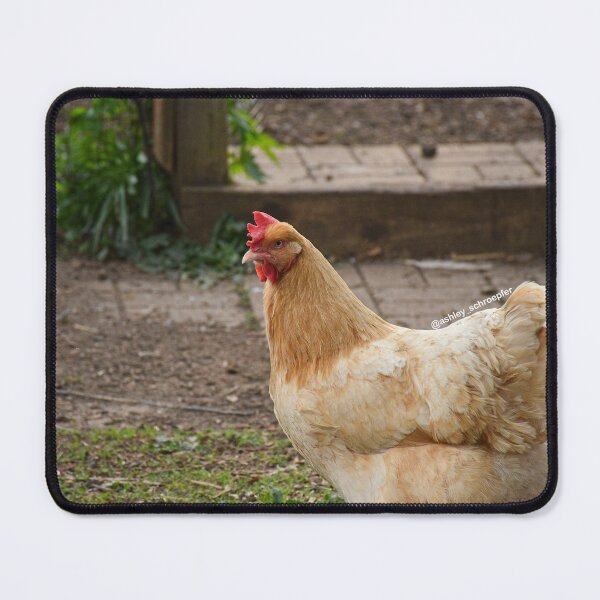 Item preview, Chicken Portrait designed and sold by Ashley Schroepfer.