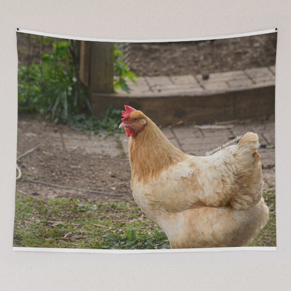 Item preview, Chicken Portrait designed and sold by Ashley Schroepfer.
