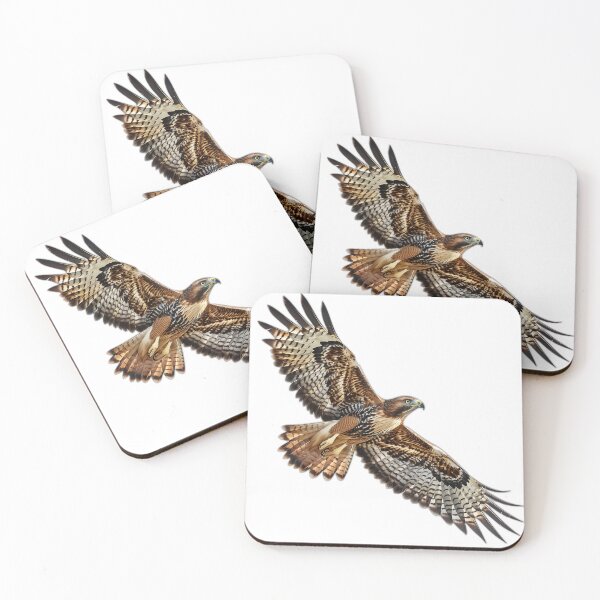 Item preview, red tail hawk soaring designed and sold by owengerig.