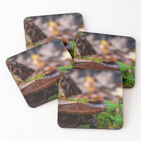 Item preview, Mushroom Grows at the Bottom of a Tree Trunk designed and sold by jrtwynam.