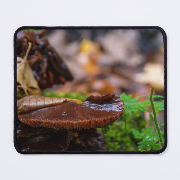 Item preview, Mushroom Grows at the Bottom of a Tree Trunk designed and sold by jrtwynam.