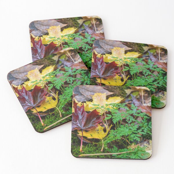 Item preview, Autumn-Coloured Fallen Leaves on a Forest Floor designed and sold by jrtwynam.