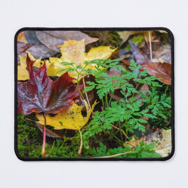 Item preview, Autumn-Coloured Fallen Leaves on a Forest Floor designed and sold by jrtwynam.