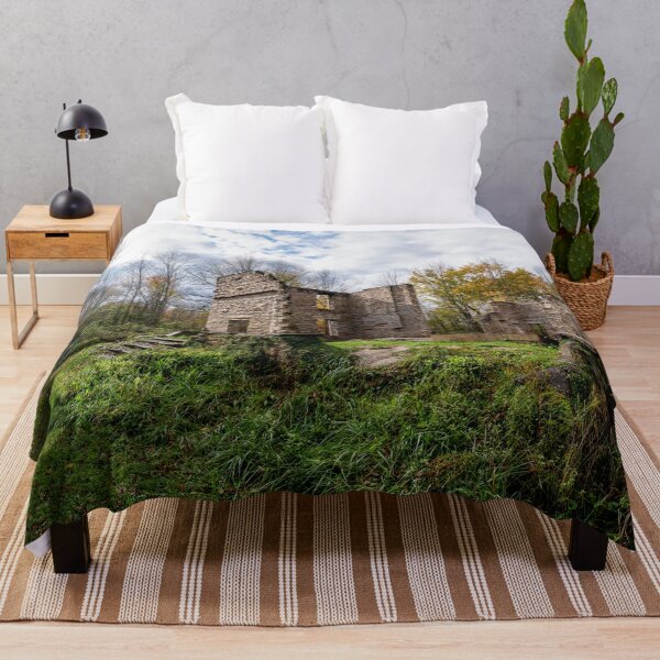 Item preview, Old Ruin in the Forest near Wiarton, Ontario 3 designed and sold by jrtwynam.