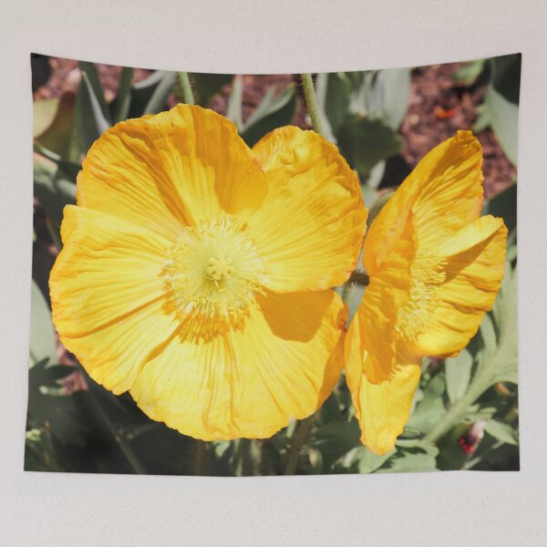 Item preview, Brighter Than The Sun designed and sold by Falln.