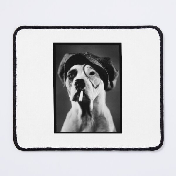 Item preview, Petey Mugshot  designed and sold by PITBULLEE.