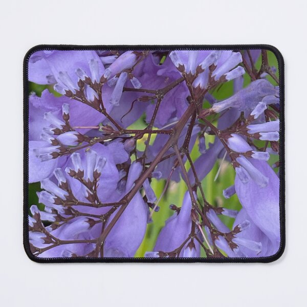 Item preview, November Jacarandas designed and sold by ShotsOfLove.