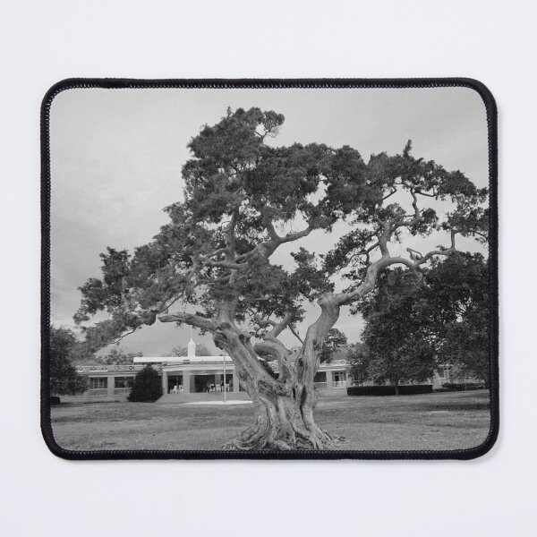 Item preview, Twisted Tree - Black & White designed and sold by HCB1.