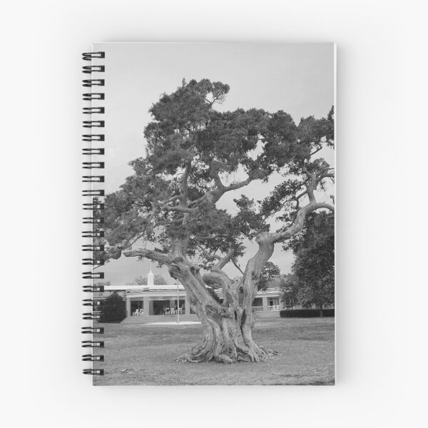 Item preview, Twisted Tree - Black & White designed and sold by HCB1.