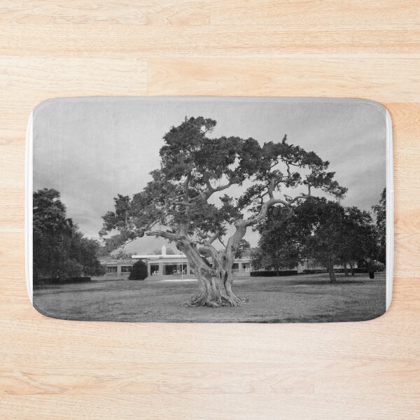 Item preview, Twisted Tree - Black & White designed and sold by HCB1.
